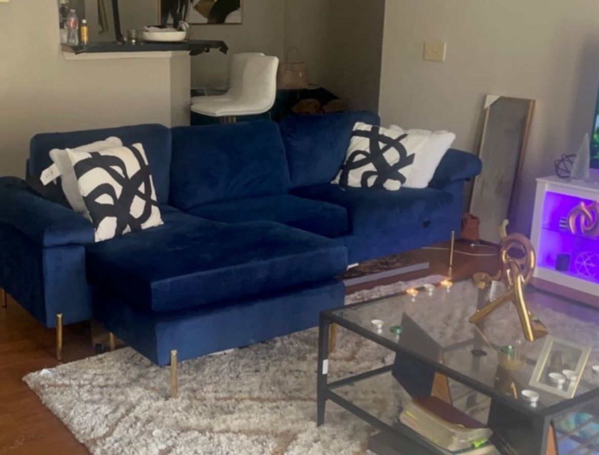 Price Drop Fairly New Velvet Sectional