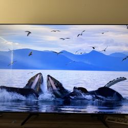 85 “TCL Roku tv