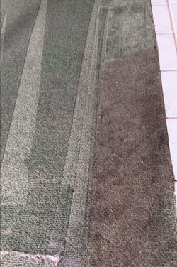 Carpet cleaner