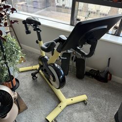 Freebeat Indoor Bike