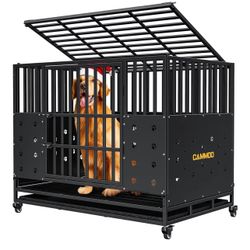 Dog Crate 