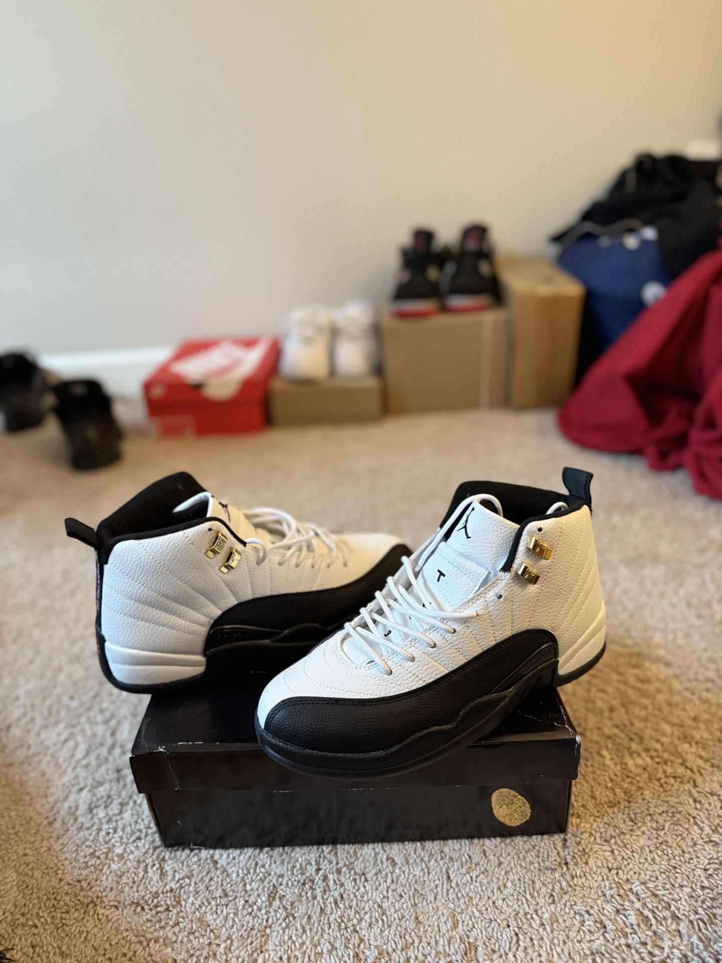 Jordan 12 taxi
