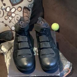 Nike Lebron James Anniversary Sneakers