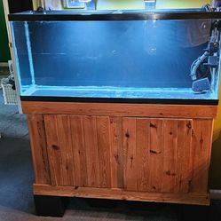 55 Gallon Fish Tank With Wood Stand