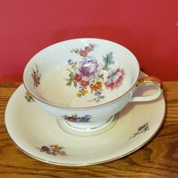 Gorgeous Fine China TEACUP & SAUCER. 