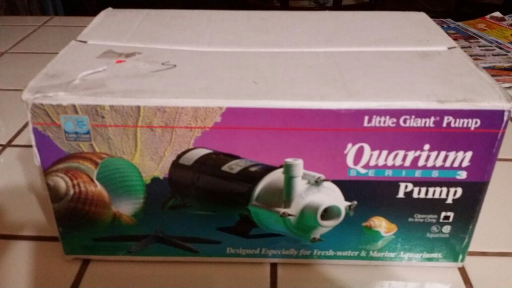Little giant pump