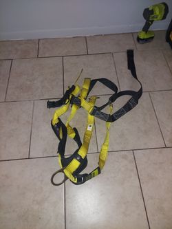 Harness