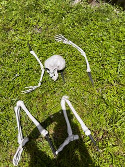 Halloween lawn skeleton
