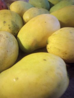Mangos