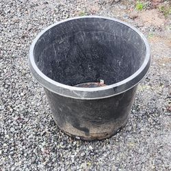 25 Gallon And 15 Gallon Pots