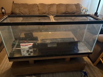aquarium