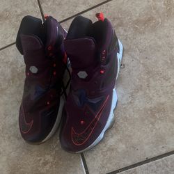 LeBron James shoes