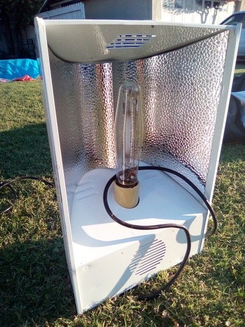 Hydroponic Grow Set Up