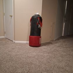 Everlast MMA punching Bag