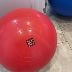 EXERCISE BALL 55cm