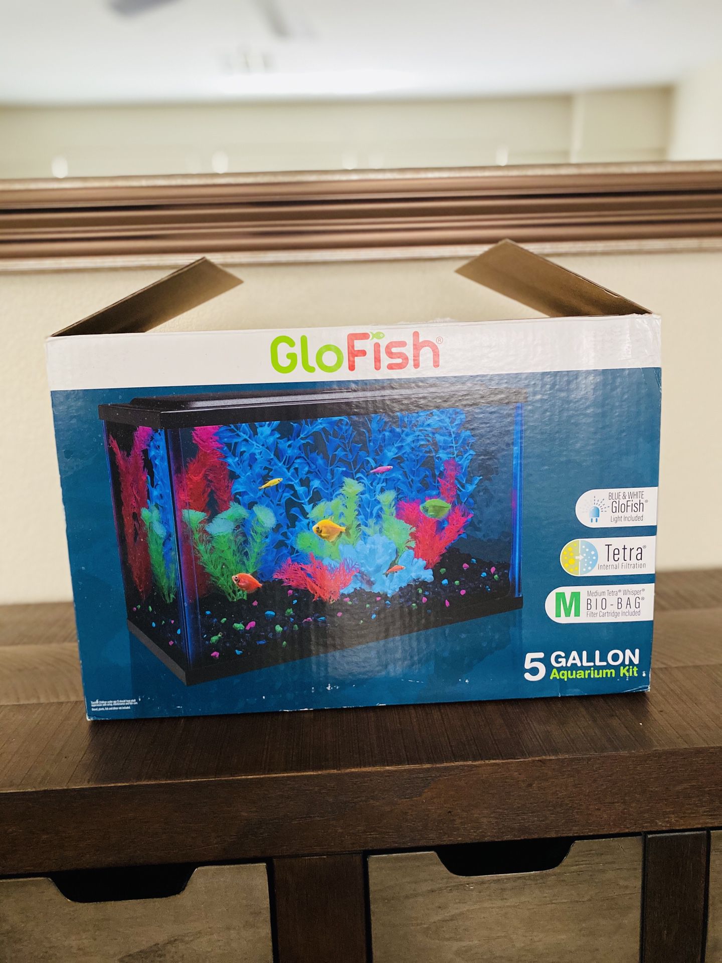 New open box glow fish aquarium 5 gallon