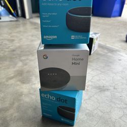 Amazon Echo Dot And Google Home Mini