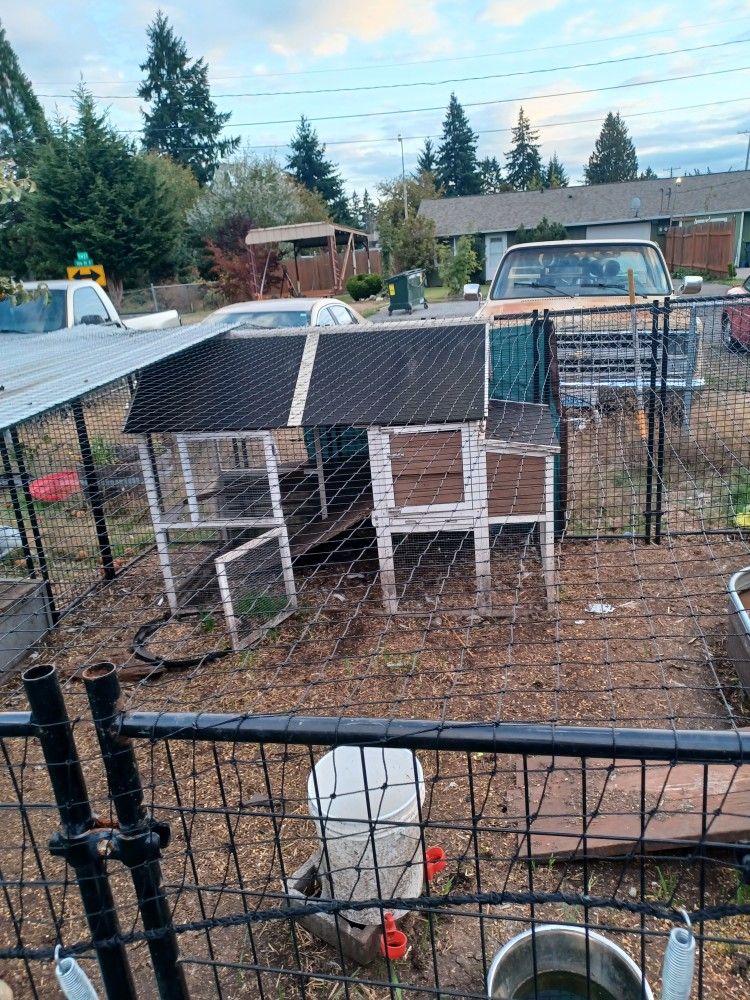 Chicken/duck Coops