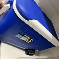 Igloo Cooler *new*
