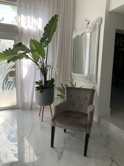 Silla de Acento