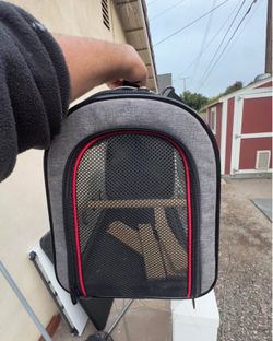 Pet transportation
