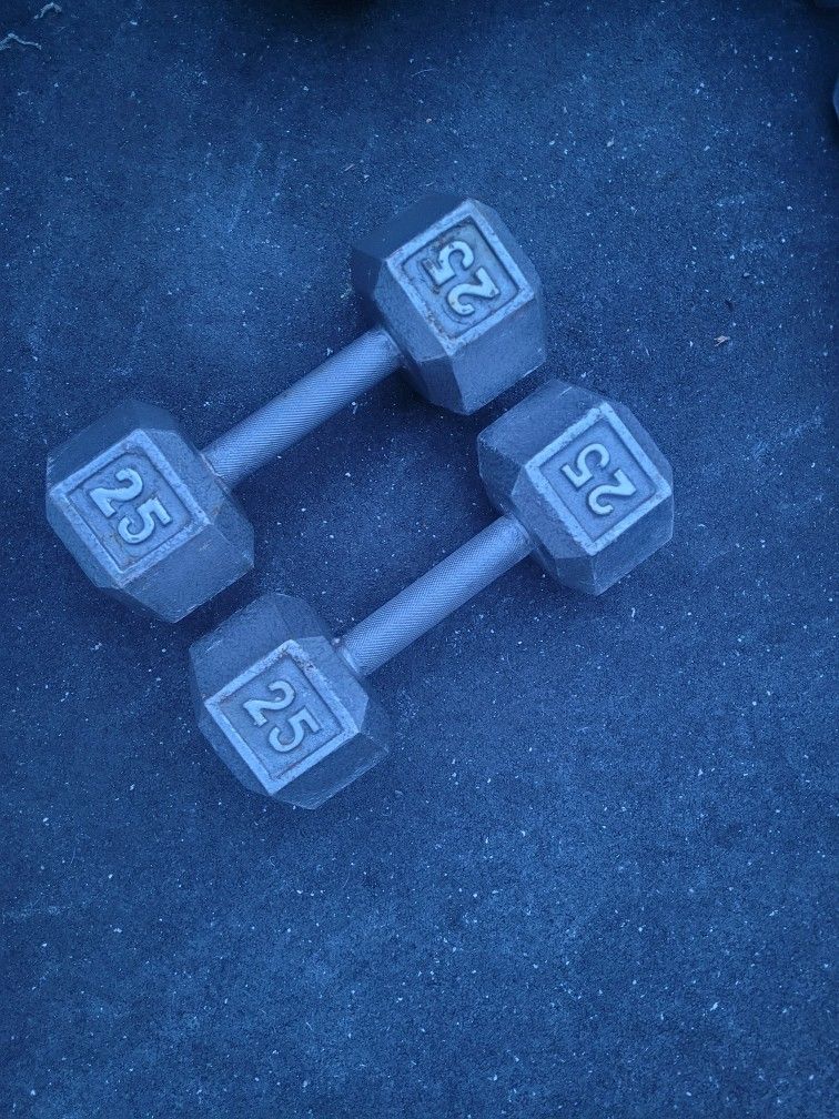 25lbs Dumbells Weights