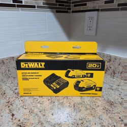 DeWalt Battery Kit