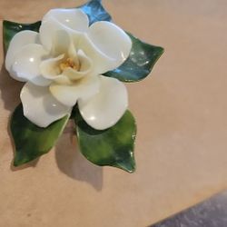 Staffordshire Porcelain Broach. Ivory Rose. Pristine 