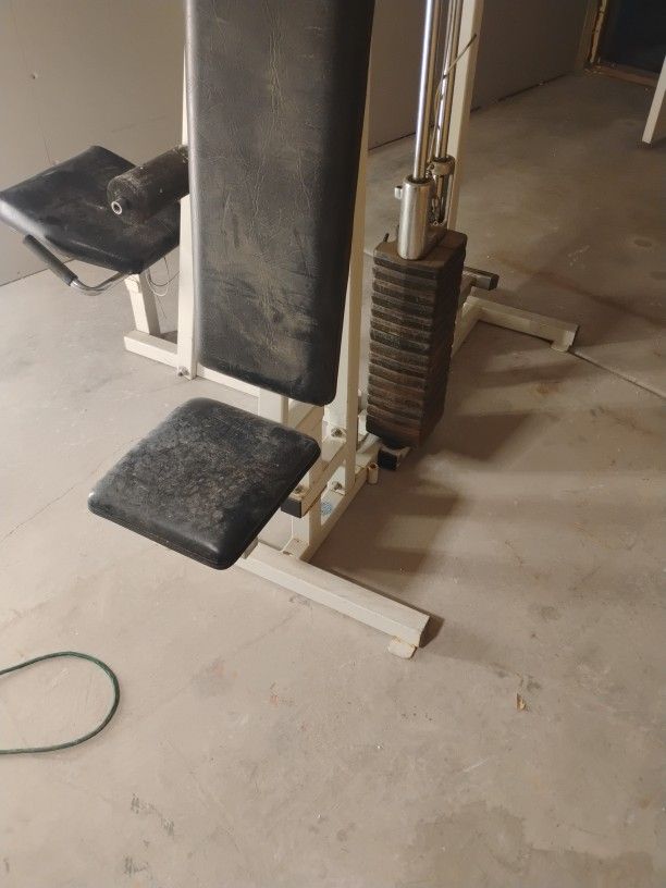 Gym Exercise