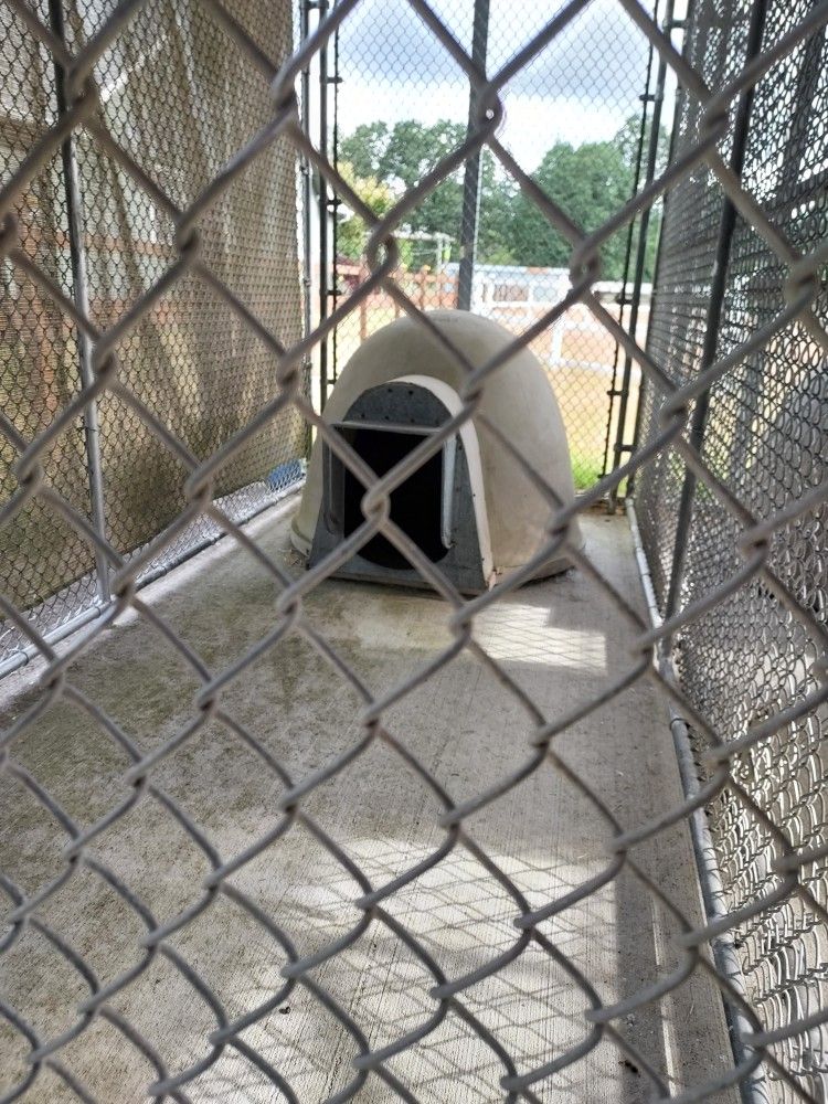 chainlink dog kennel