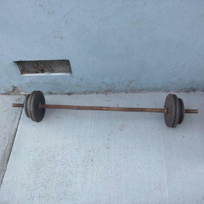 Free Weights
