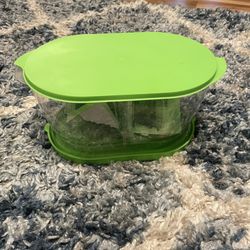 Lettuce/vegatable Keeper