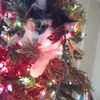 karly