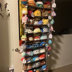 Squishmallows  All Are Available 