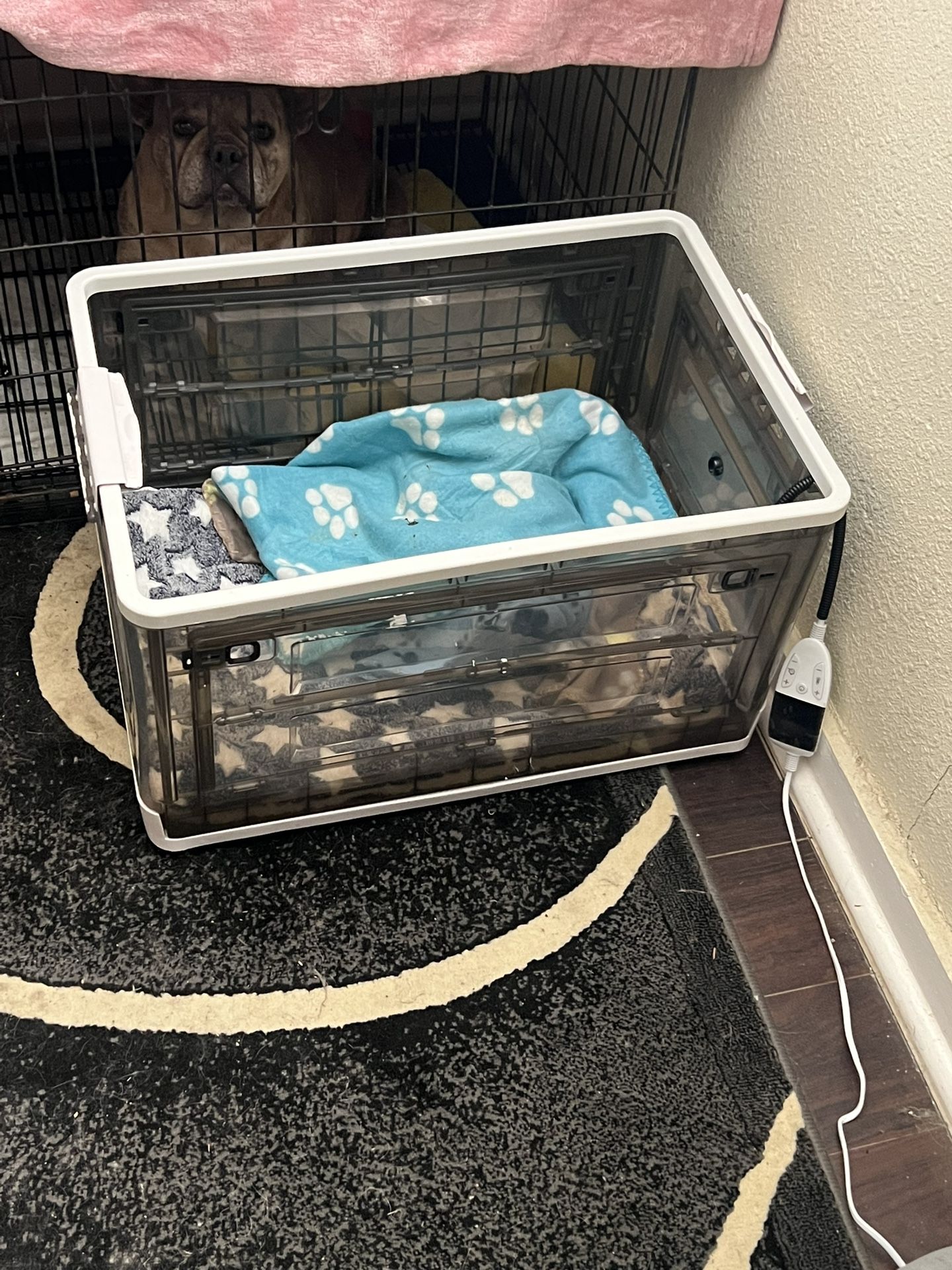 Pet Bed for Puppies