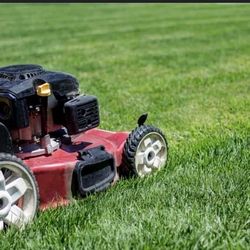I Cut Yards In The Garland Area 