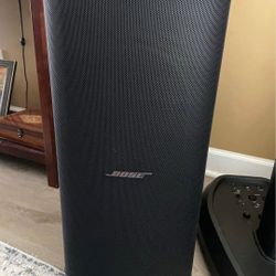 Bose Pro32-sub2
