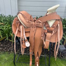 Saddle, Montura