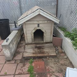 Dog House 