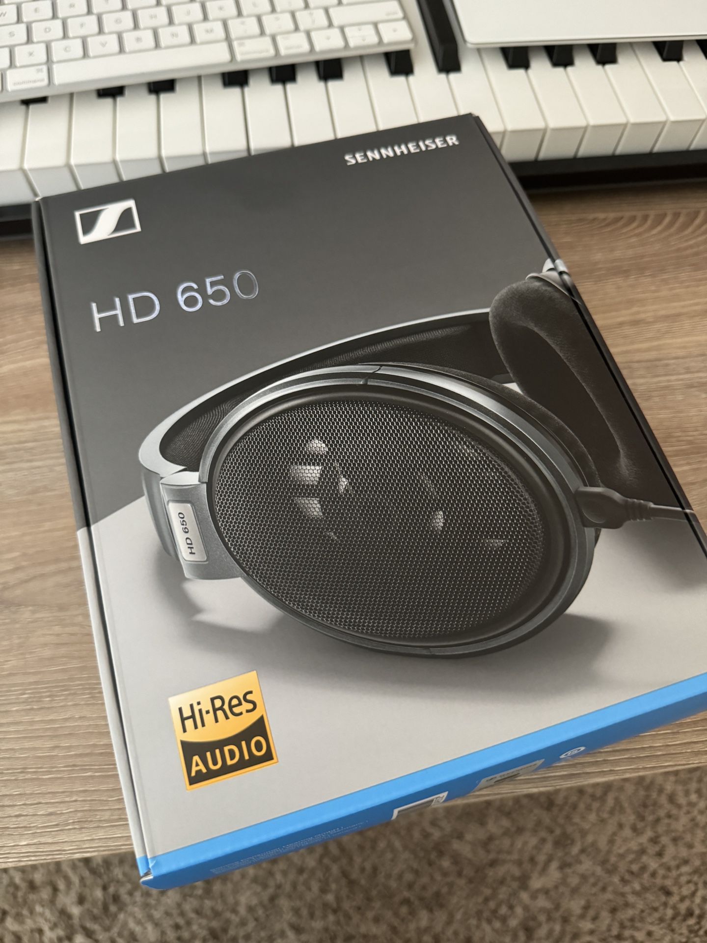 HD650 Sennheiser Mastering headphones 