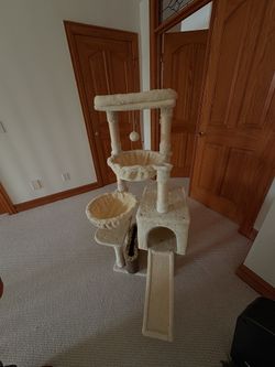 Cat Tower