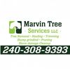 Marvin Hernandez