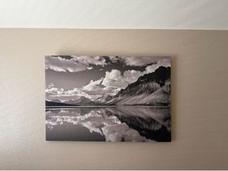 Large Nature Canvas/Painting
