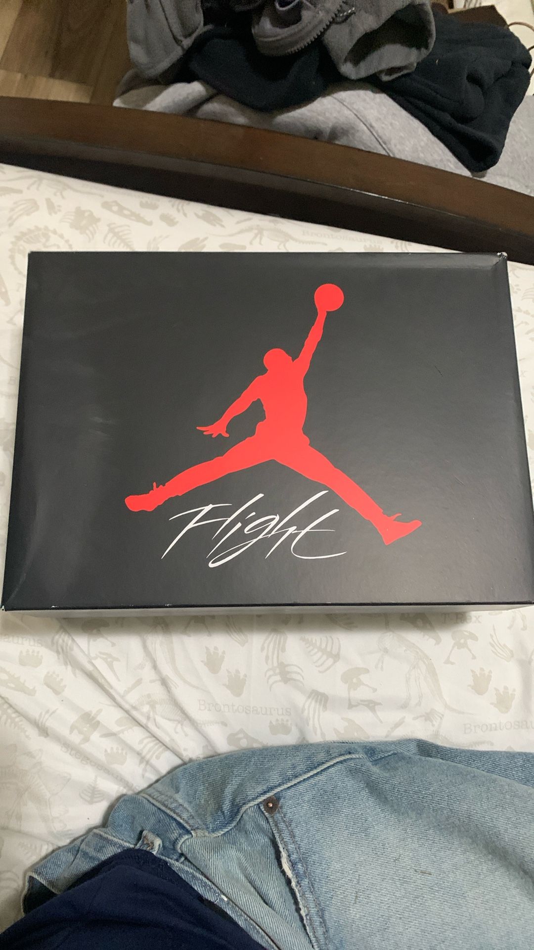 Air Jordan4 Retro (GS)