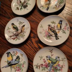 Plates 6 Mini 3 Inches Perfect 