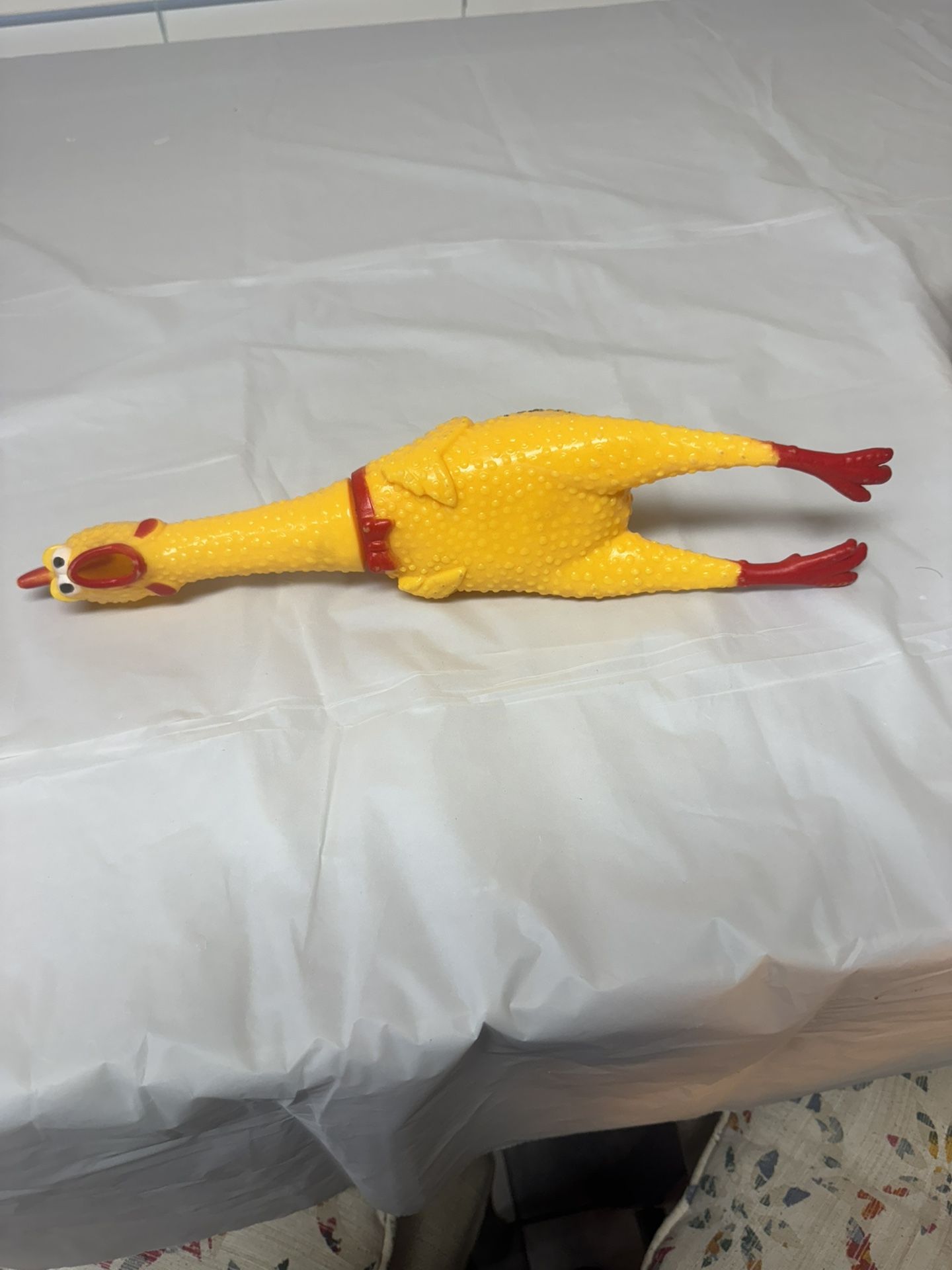 Squeaky chicken squeeze toy