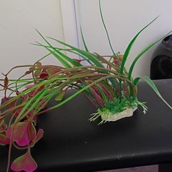 Fish tank decor