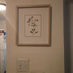 Picture Of A Follow To Hang On The Wall
