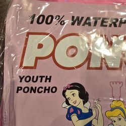 Disney Poncho