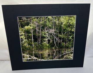 Original Photo w/Mat - Ready to Frame 11x14